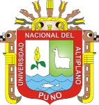 UNAP Logo